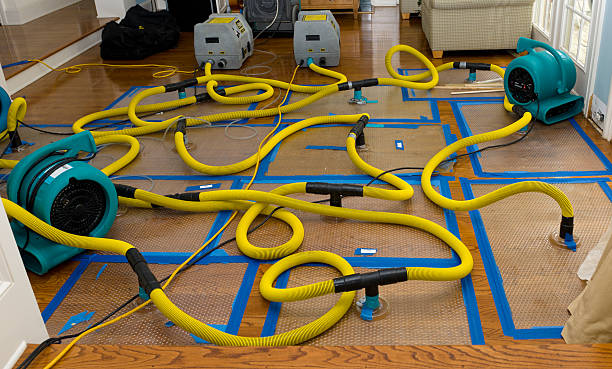 Professional Basement Flood Cleanup technician working in Friendship, OH